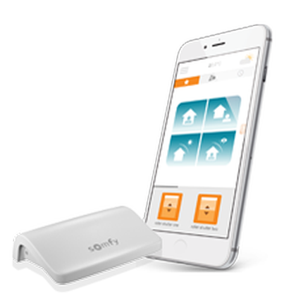 CONNEXOON RTS - type G Asia | Somfy